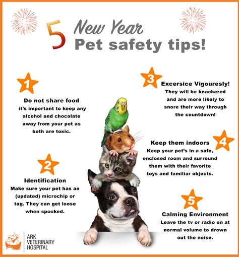 How to keep your pets safe on New Year's Eve